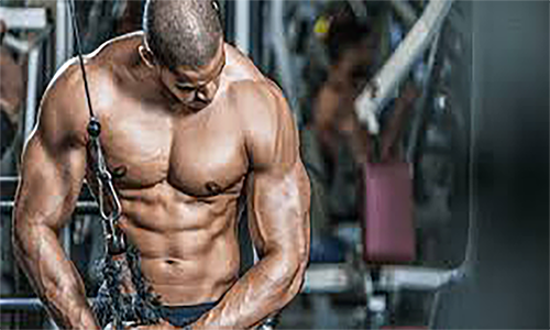 The Pen Vault Peptide Pens